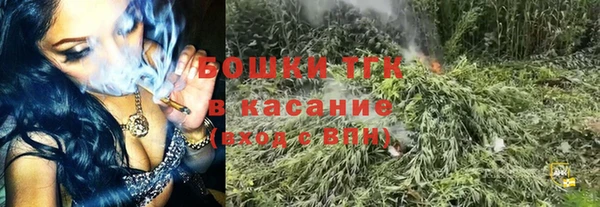 амф Богородицк