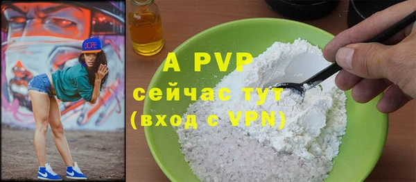 амф Богородицк