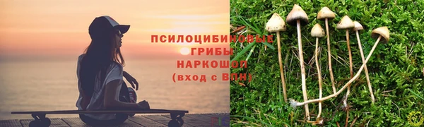 амф Богородицк
