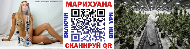 Марихуана AK-47  mega вход  Жуковский 